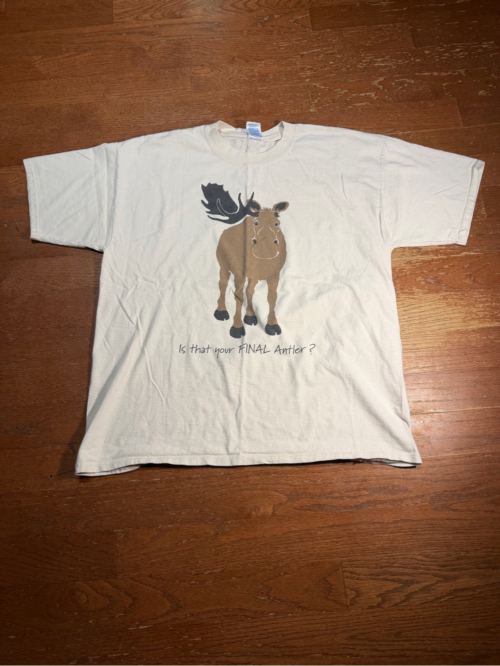 Y2K Is That Your Final Antler Graphic Tee
